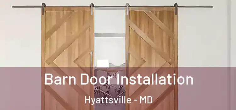  Barn Door Installation Hyattsville - MD