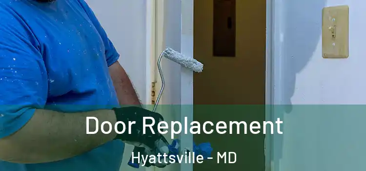 Door Replacement Hyattsville - MD