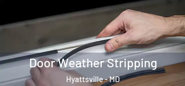  Door Weather Stripping Hyattsville - MD