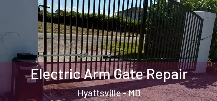  Electric Arm Gate Repair Hyattsville - MD