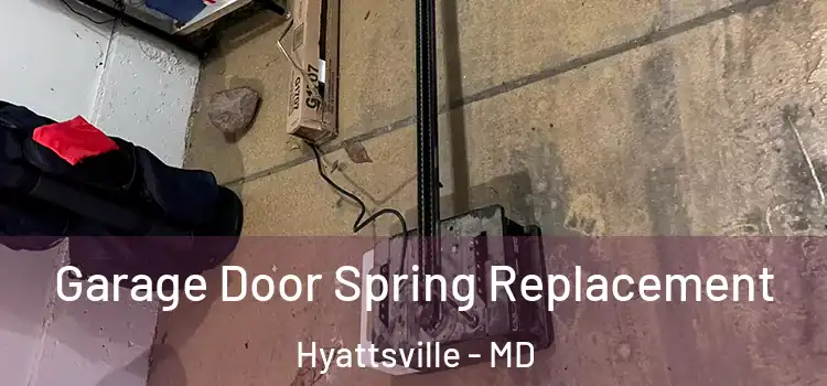  Garage Door Spring Replacement Hyattsville - MD
