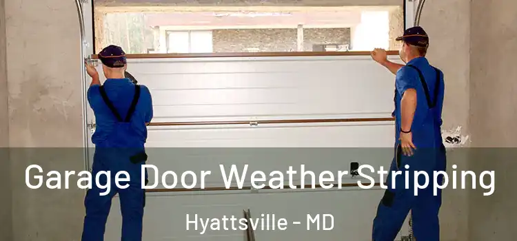  Garage Door Weather Stripping Hyattsville - MD