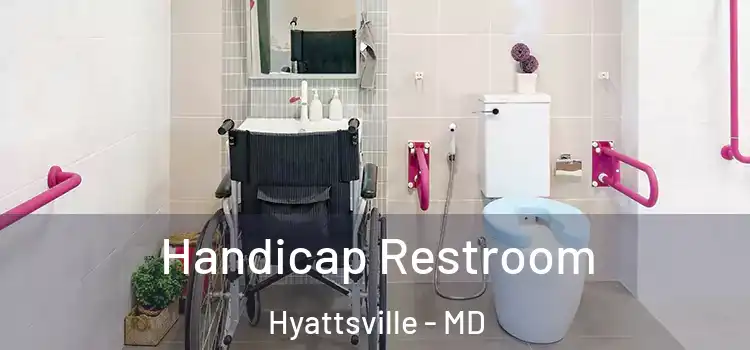  Handicap Restroom Hyattsville - MD