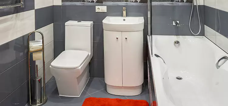 Hansgrohe Shaving Mirror Hyattsville