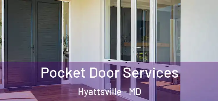 Pocket Door Services Hyattsville - MD